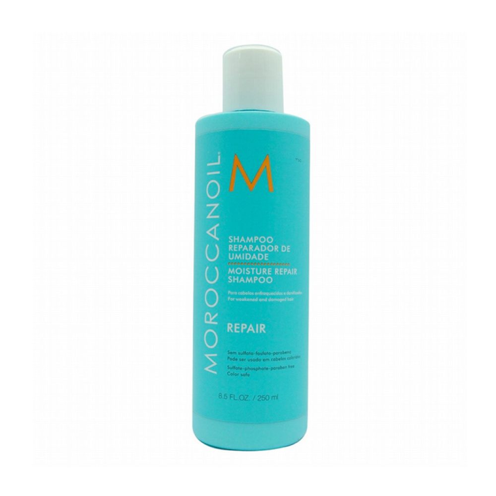 moroccan repair shampoo